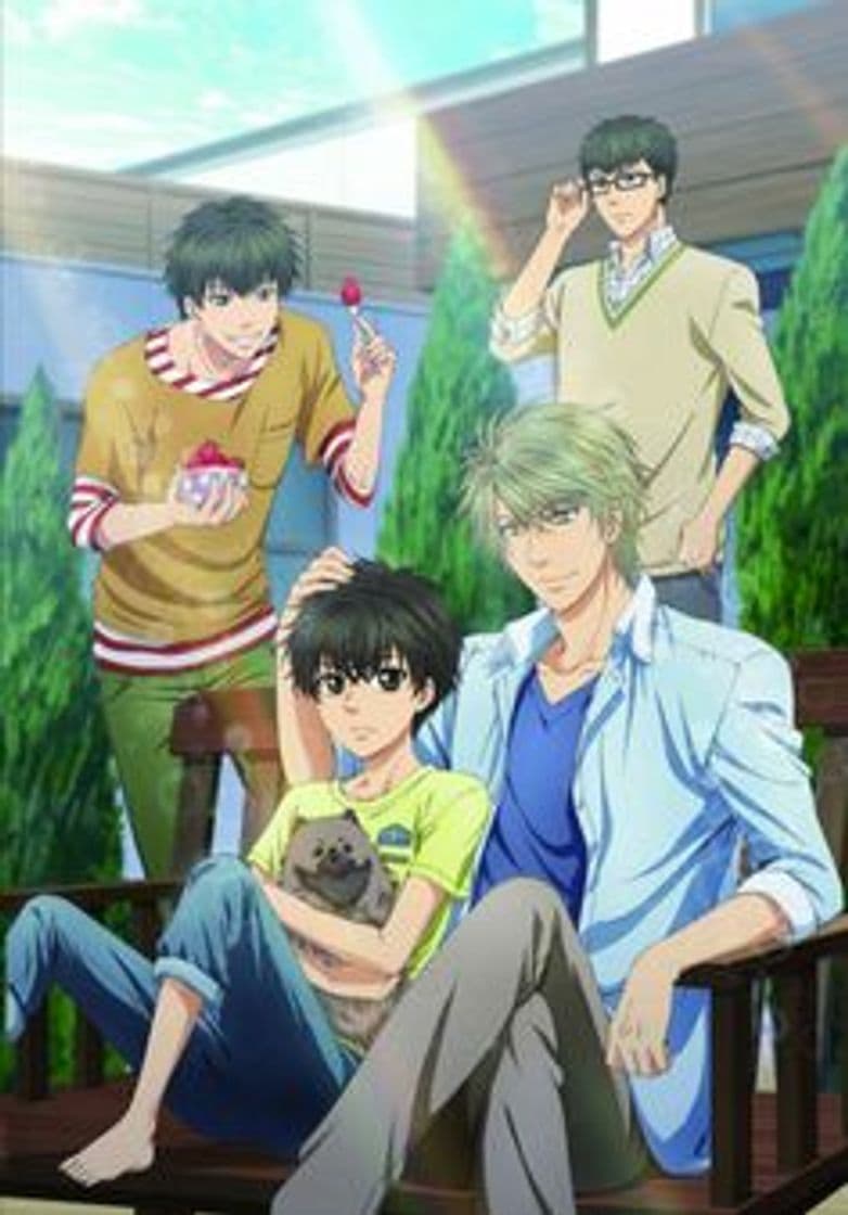 Serie SUPER LOVERS