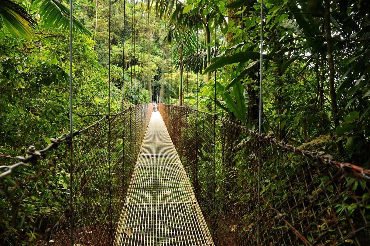 Lugar Monteverde, Costa Rica 