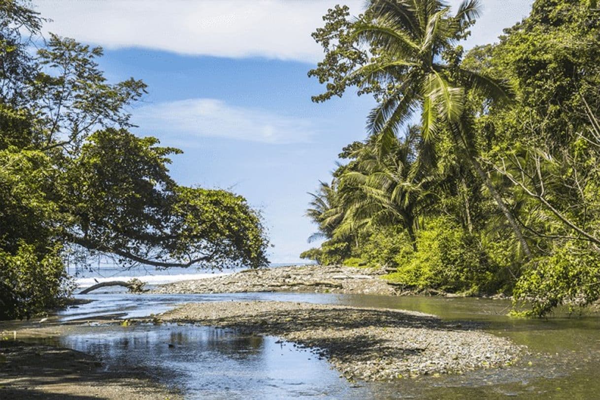 Lugar Corcovado, Costa Rica. 