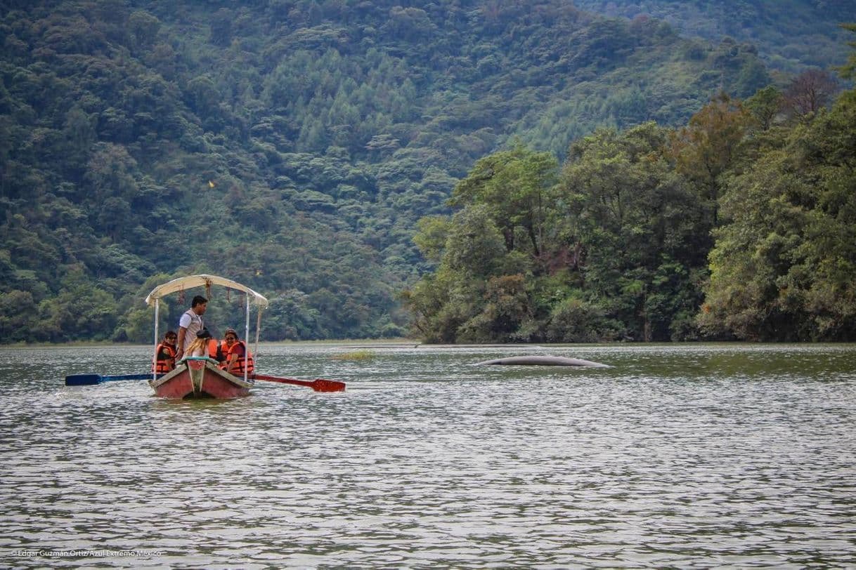 Place Sierra Norte de Puebla