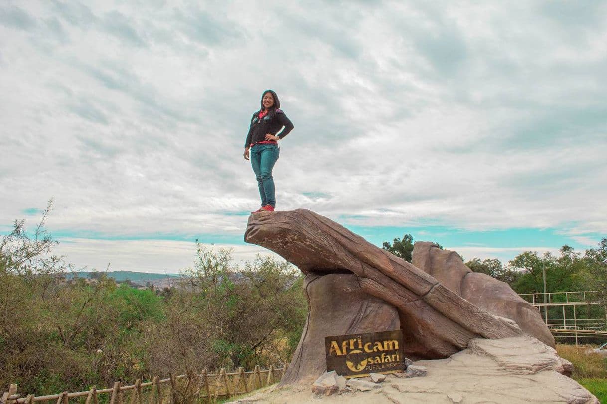 Place Africam Safari