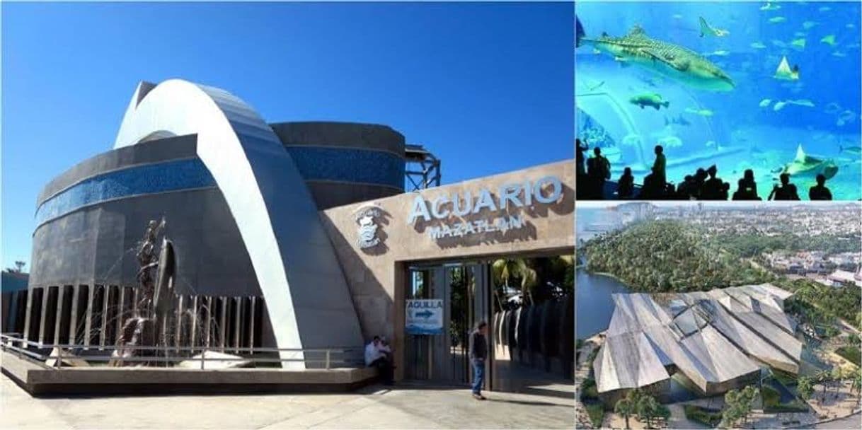 Place Acuario Mazatlán