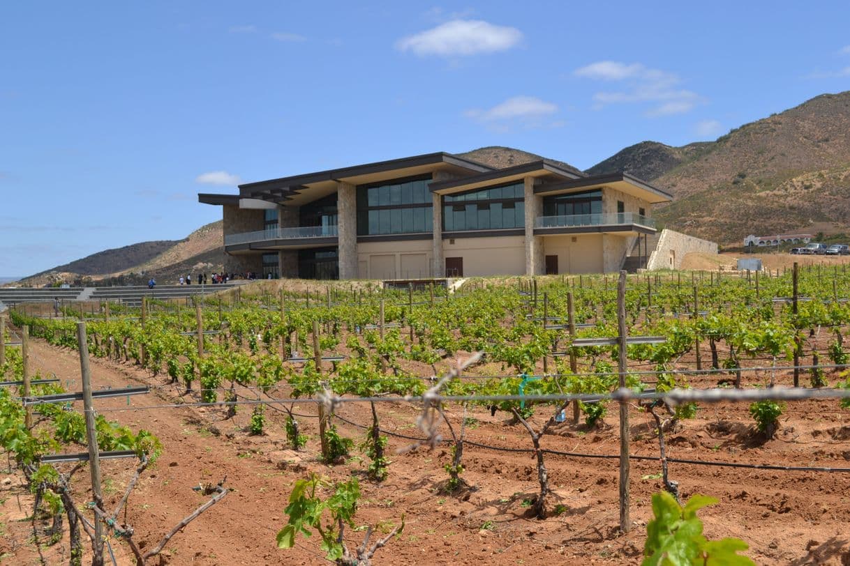 Lugar Museo de la Vid y el Vino