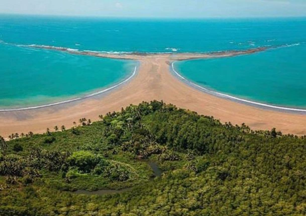 Lugar Bahía Ballena