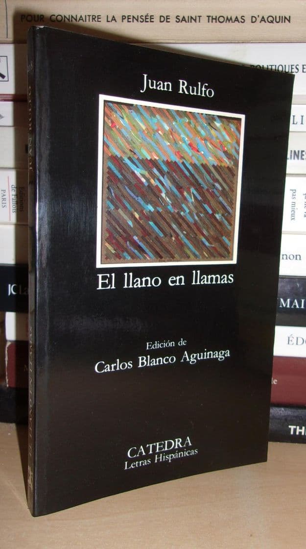 Book El Llano en llamas