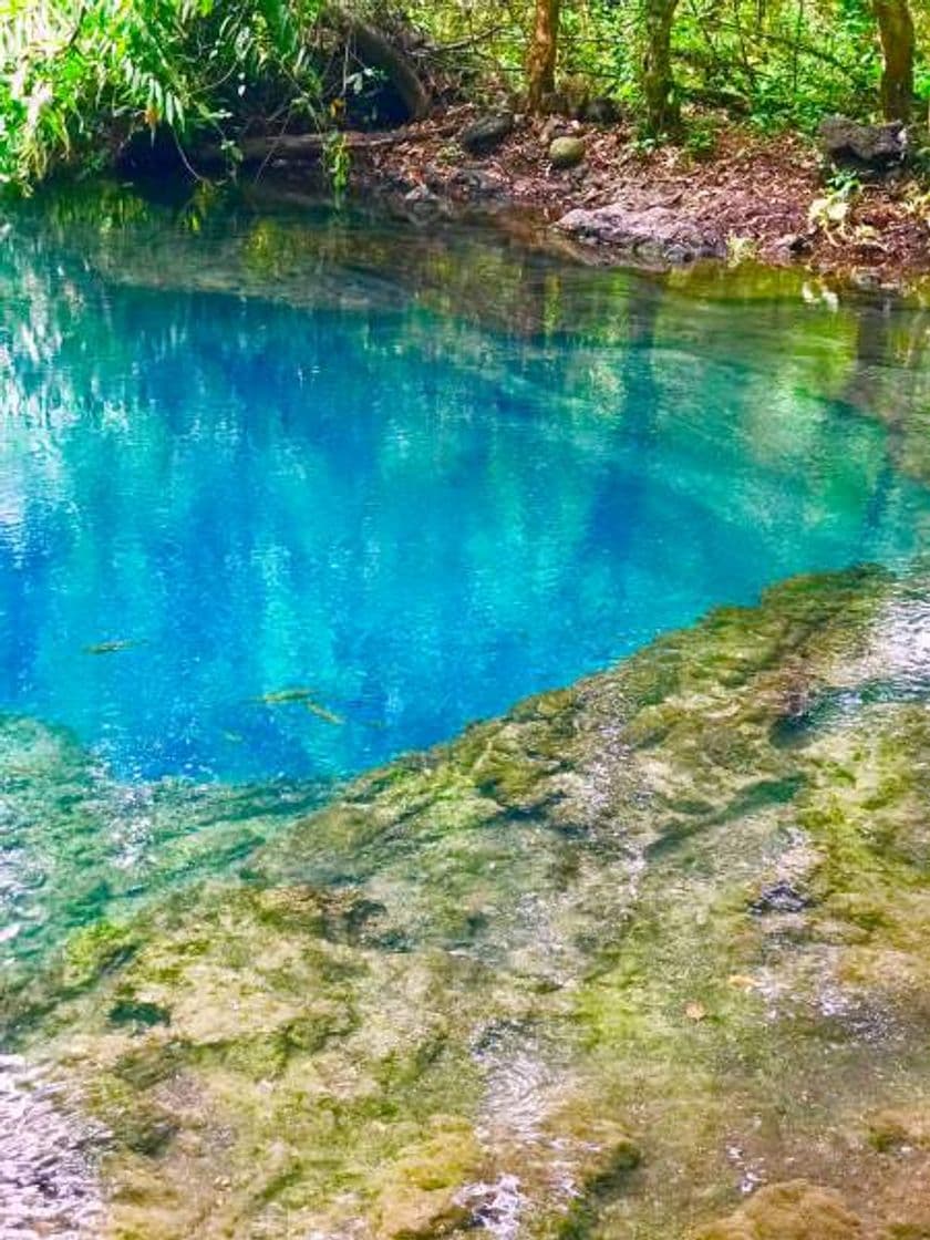 Lugar Balneario Pozo Azul