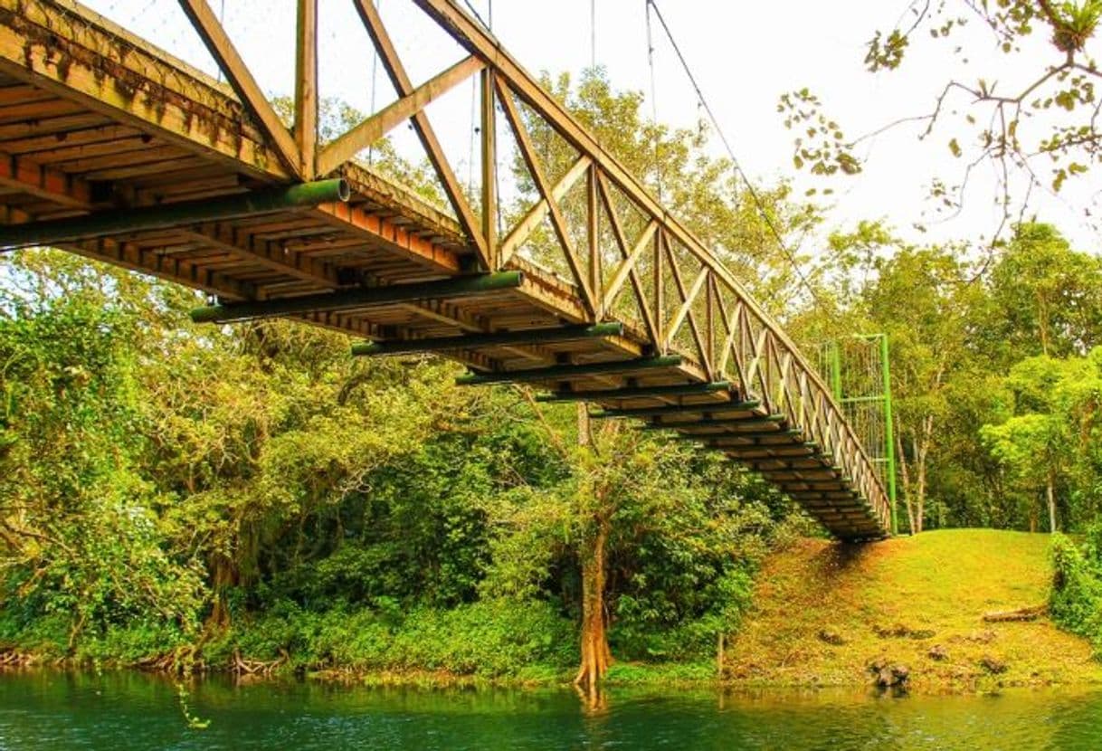 Lugar Parque Eco-Arqueológico Los Naranjos