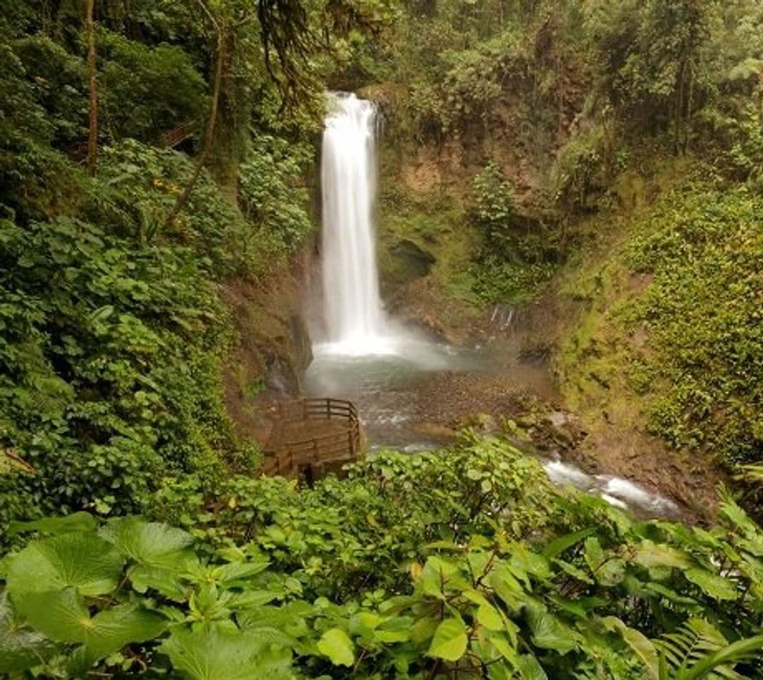 Lugar Catarata de la Paz