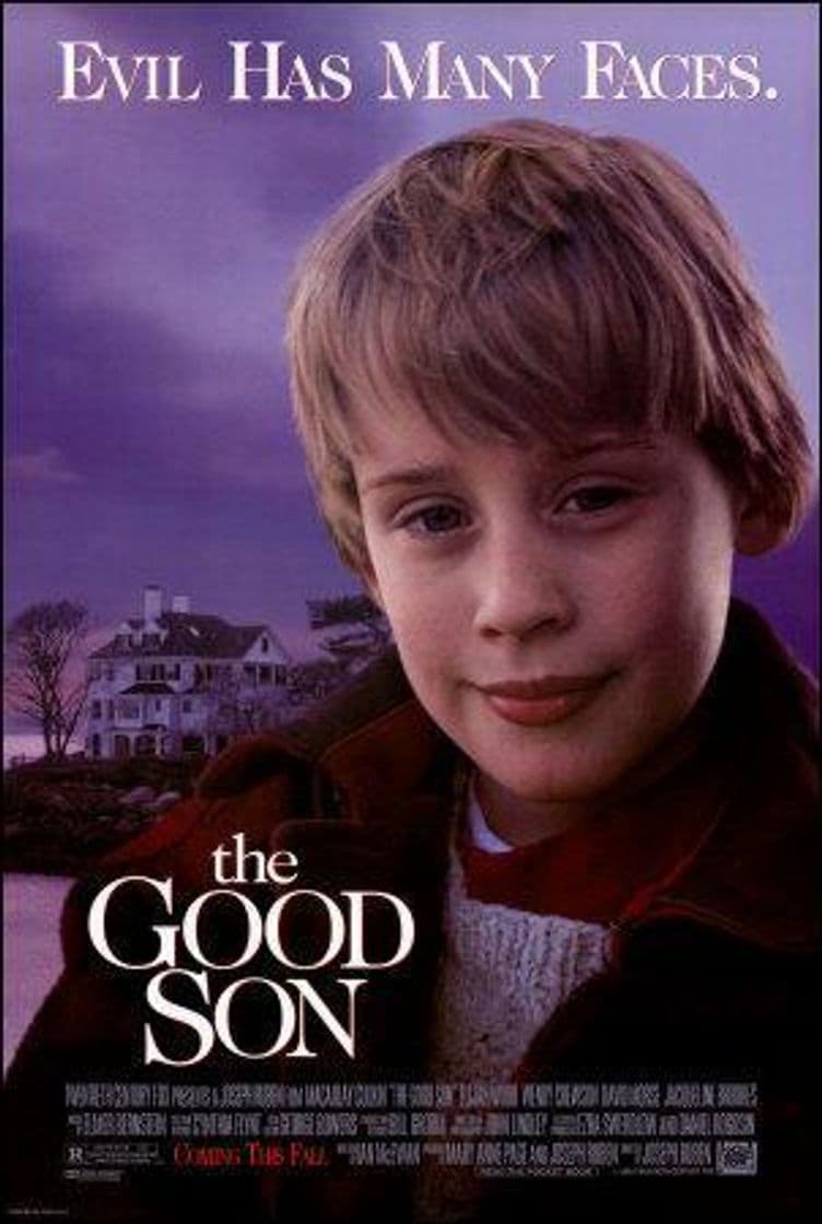 Película The Good Son