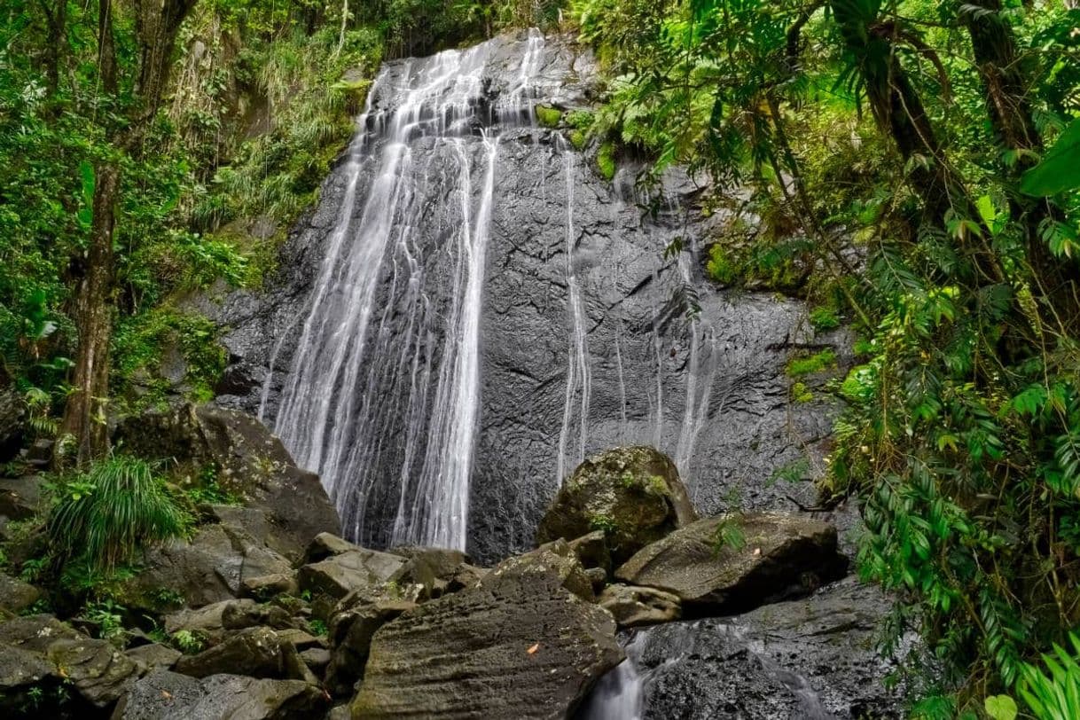 Place El Yunque National Forest