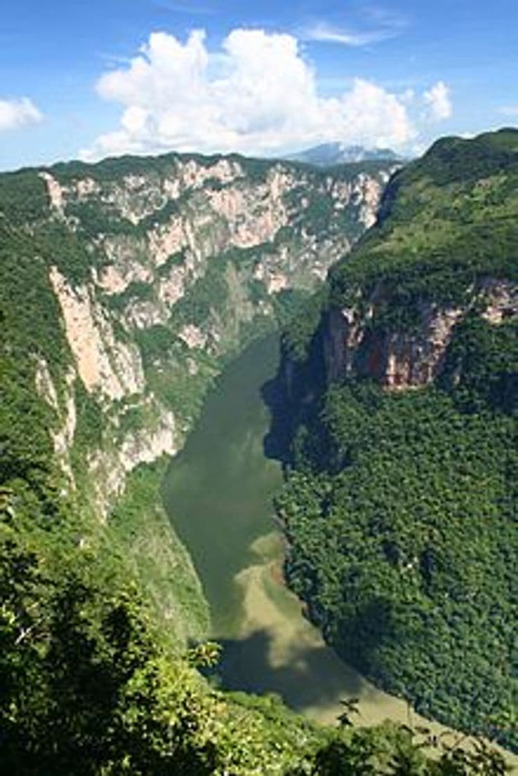 Place Canon del Sumidero