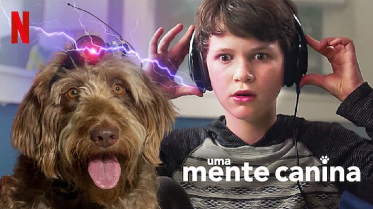 Película Mente canina