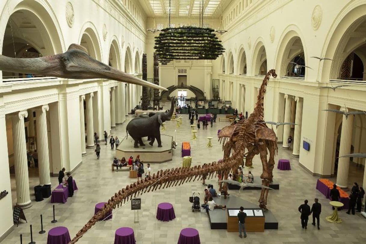 Lugar Field Museum