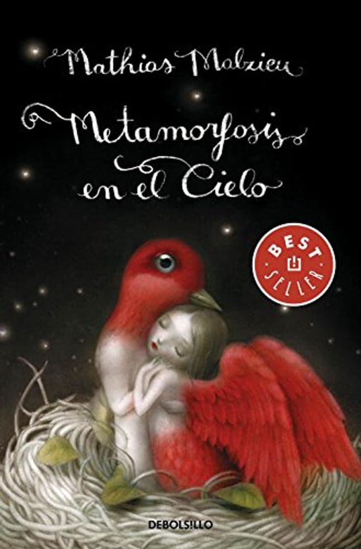 Book Metamorfosis en el cielo