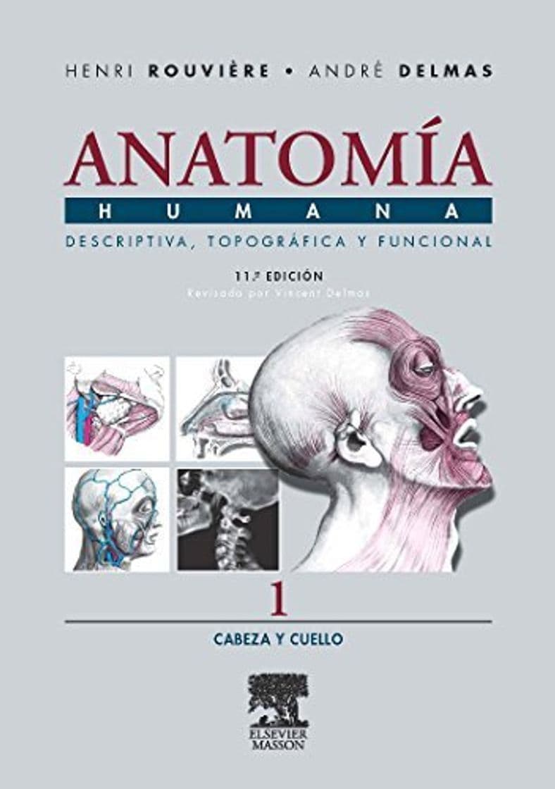 Libro Anatomia Humana Descriptiva, topografica y funcional. Tomo 1. Cabeza y cuello