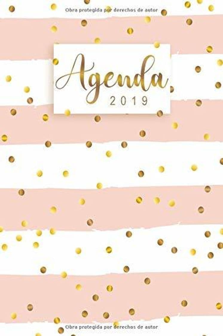 Libro Agenda 2019