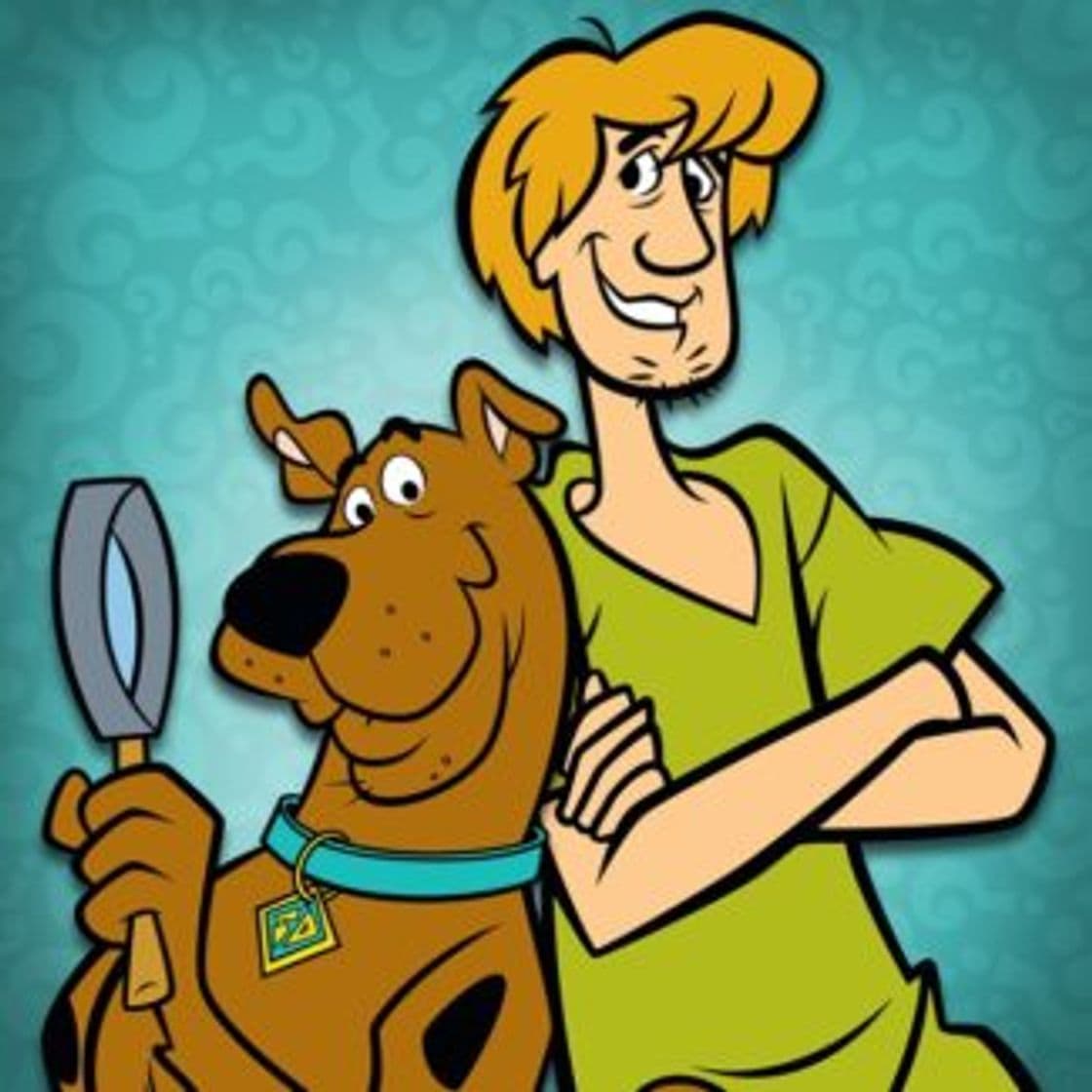 Serie Scooby-Doo! Mystery Cases