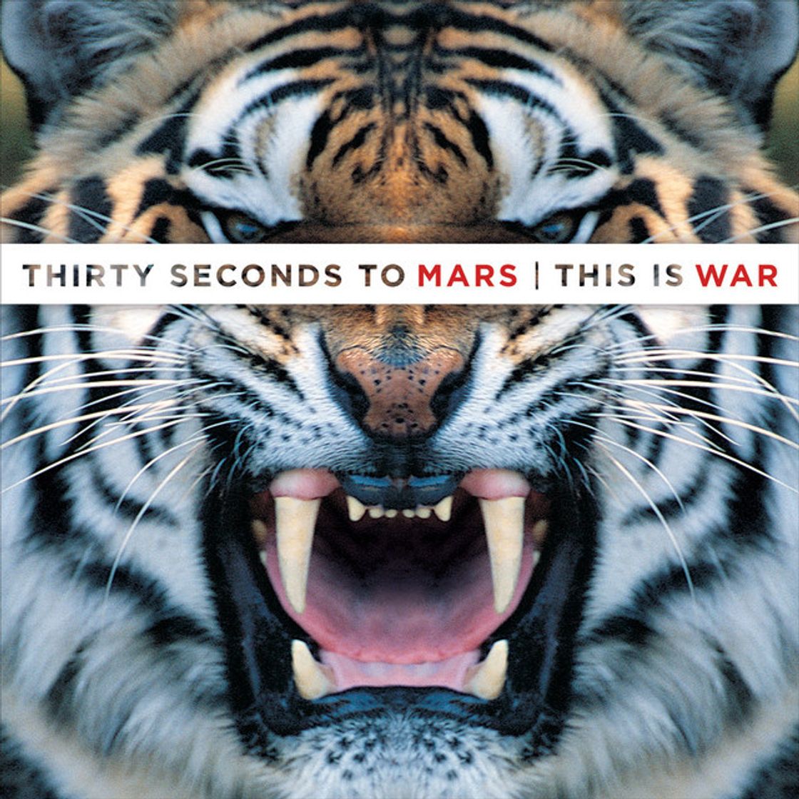 Canción This Is War