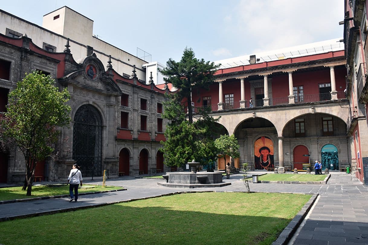 Place Museo Nacional de las Culturas