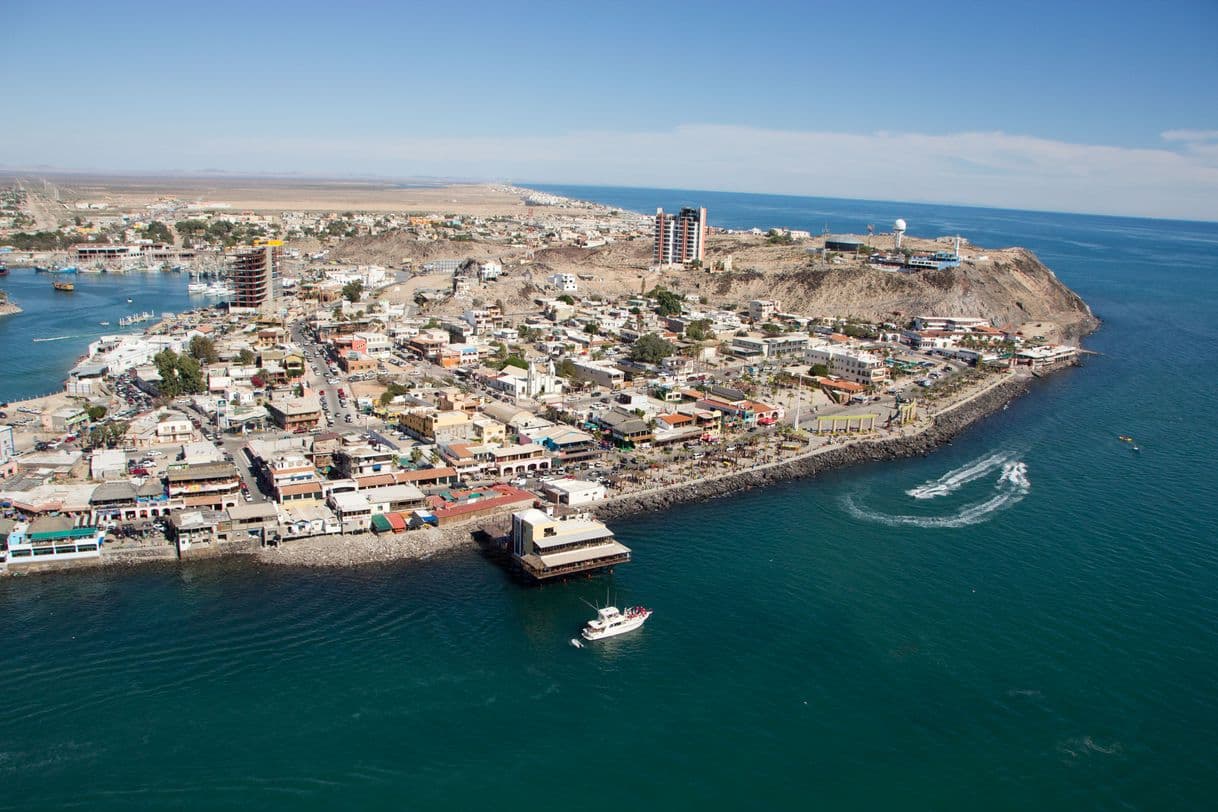 Restaurants Puerto Peñasco