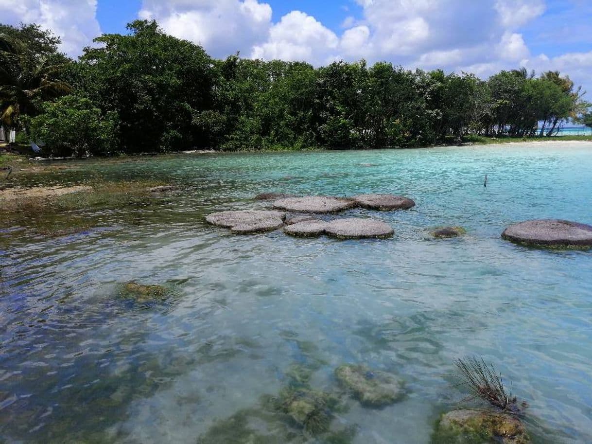 Place Yucatán