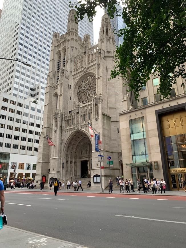 Lugar Saint Patrick's Cathedral