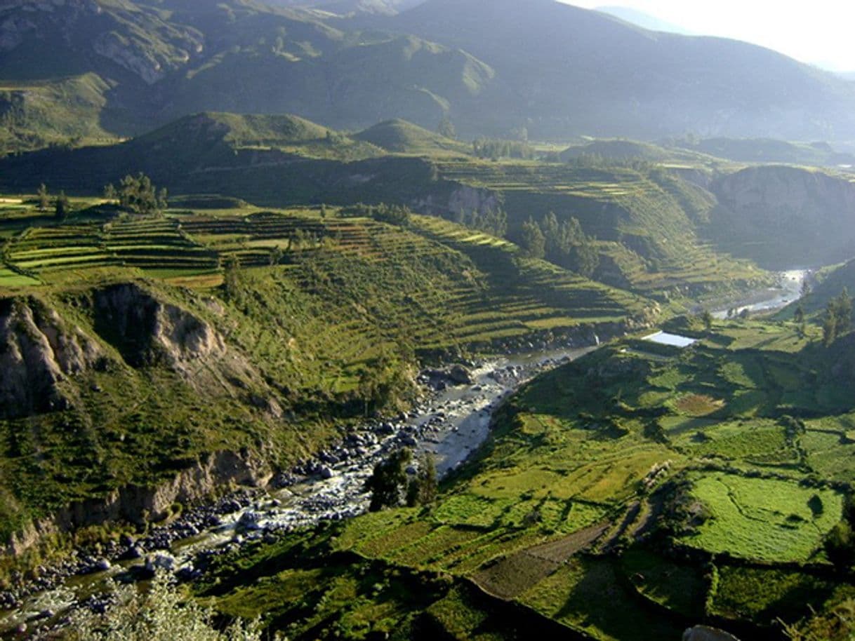 Place Cañón del Colca