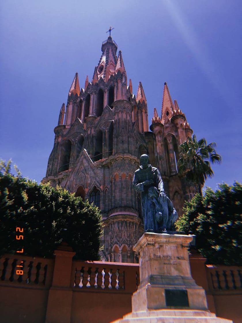 Place San Miguel de Allende