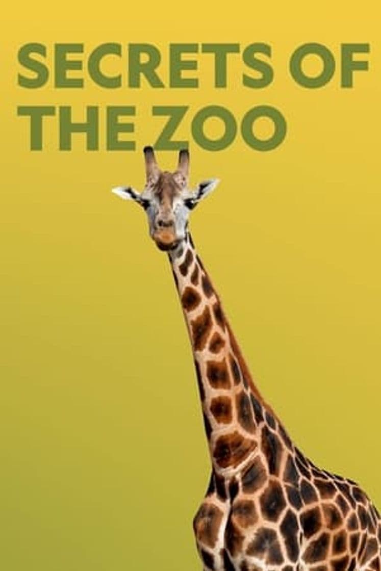 Serie Secrets of the Zoo