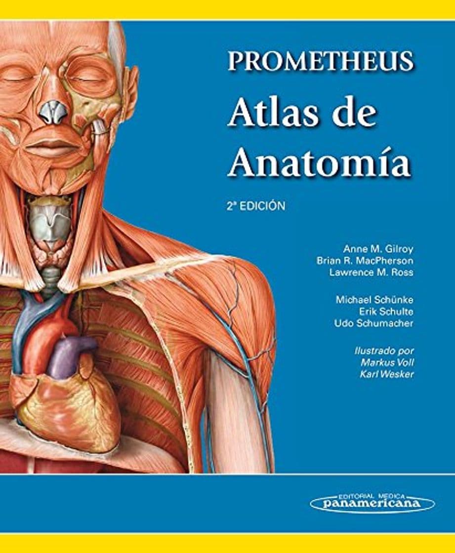 Libro GILROY:Prometheus. Atlas Anatoma 2aEd