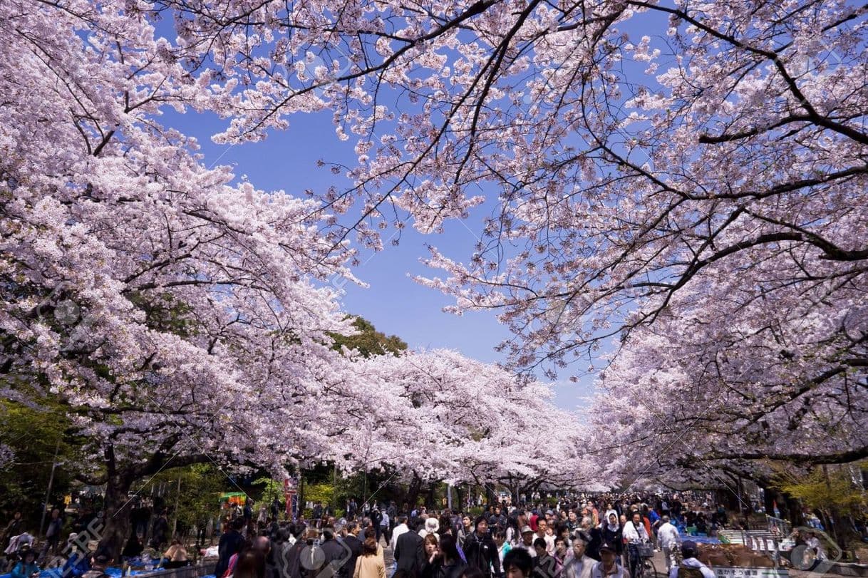 Lugar Ueno-Park