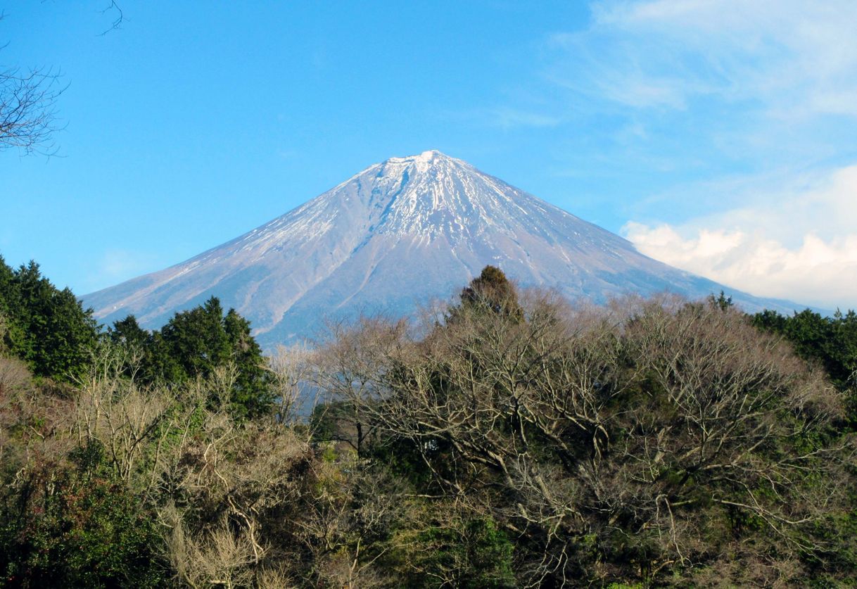 Place Mount Fuji