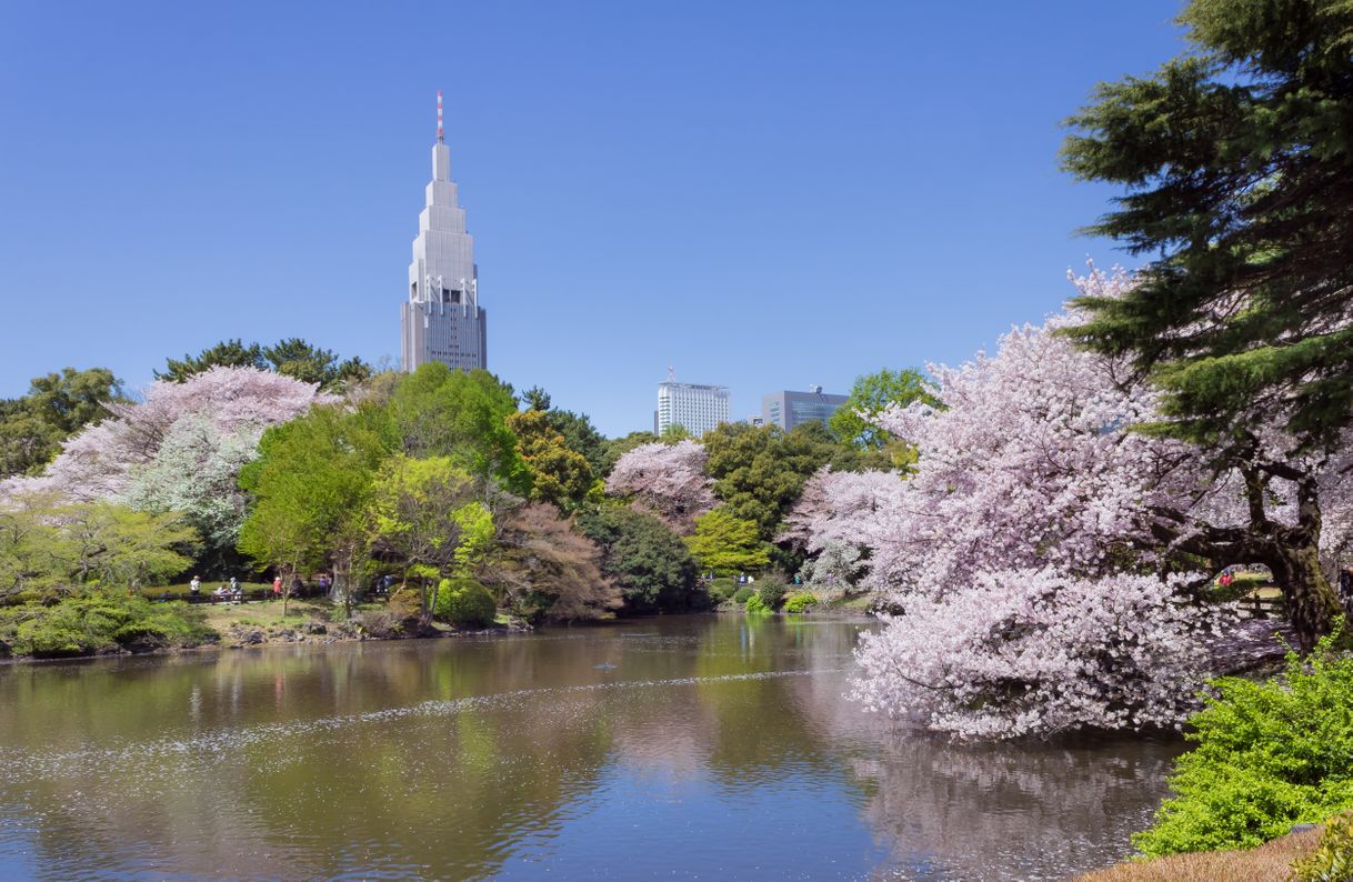 Place Shinjuku Gyoen National Garden