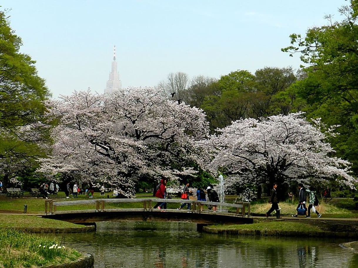 Place Parque Yoyogi