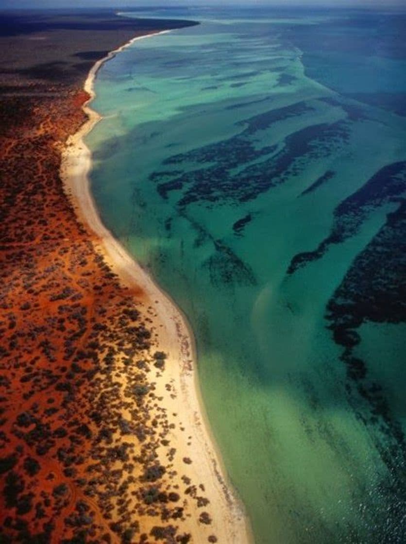 Lugar Shark Bay