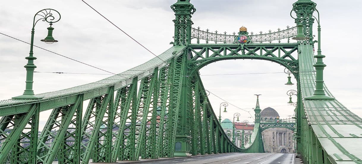 Lugar Puente de la Libertad