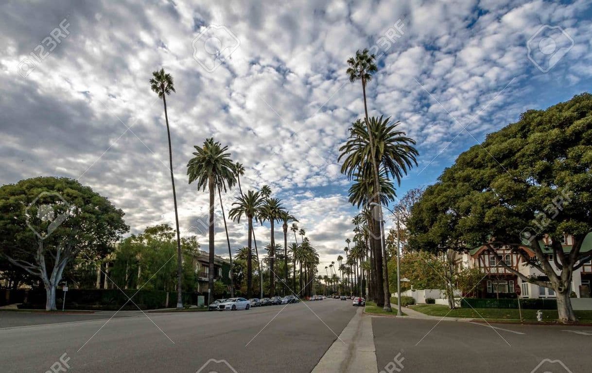 Place Beverly Hills