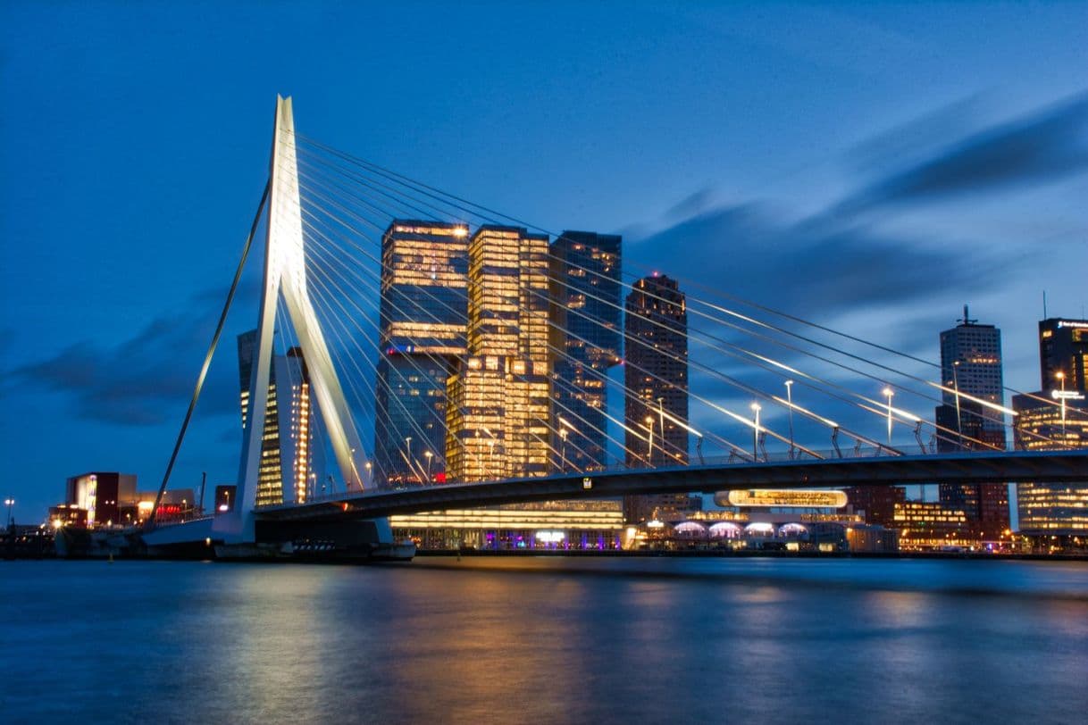 Place Rotterdam