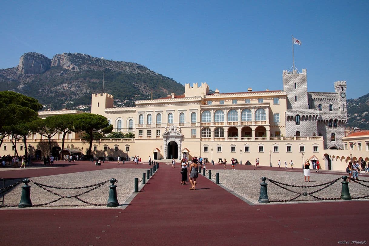 Place Le Palais Princier