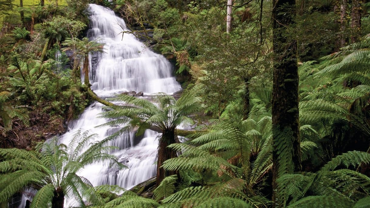 Lugar Great Otway National Park