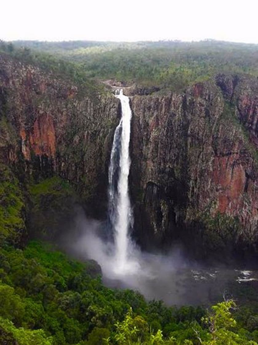 Lugar Wallaman Falls