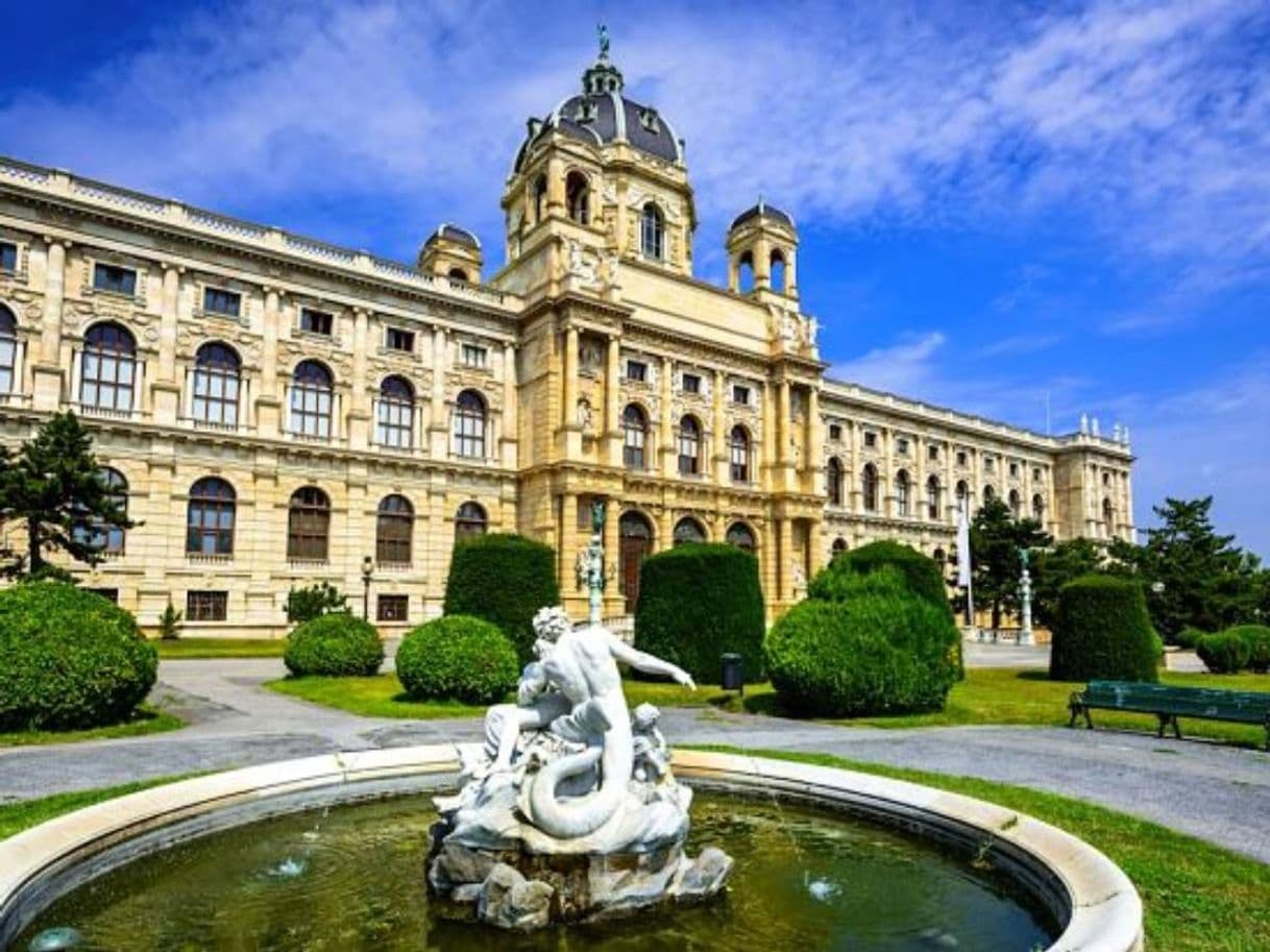 Lugar Museo de Historia del Arte de Viena