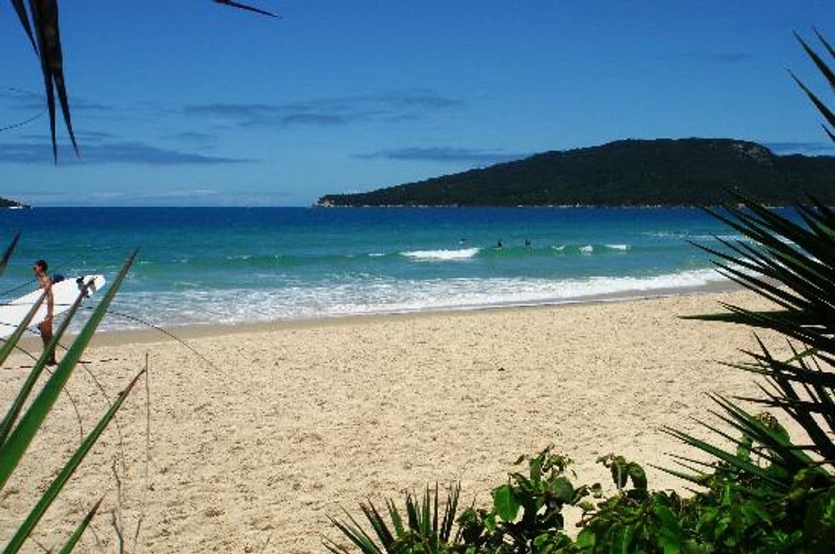 Lugar Praia dos Ingleses