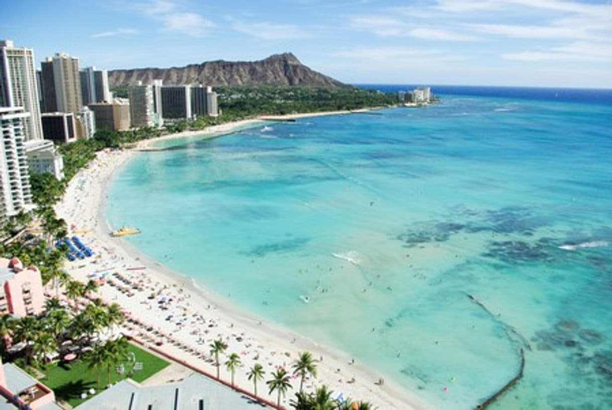 Place Waikiki Beach