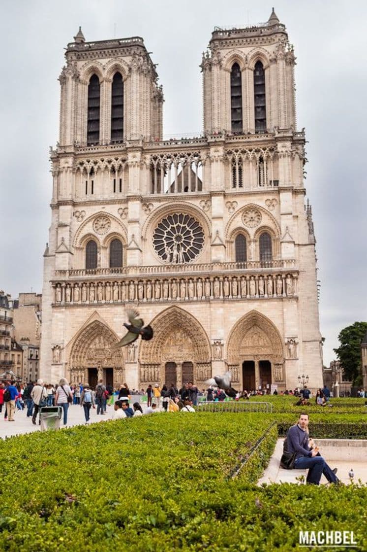 Place Notre Dame