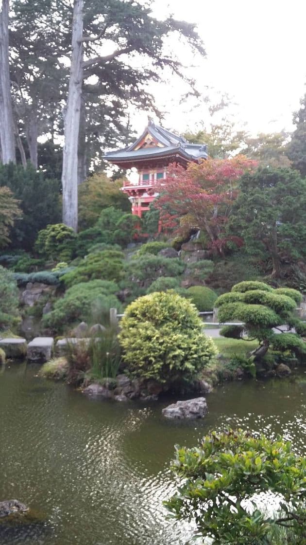 Place Japanese Tea Garden