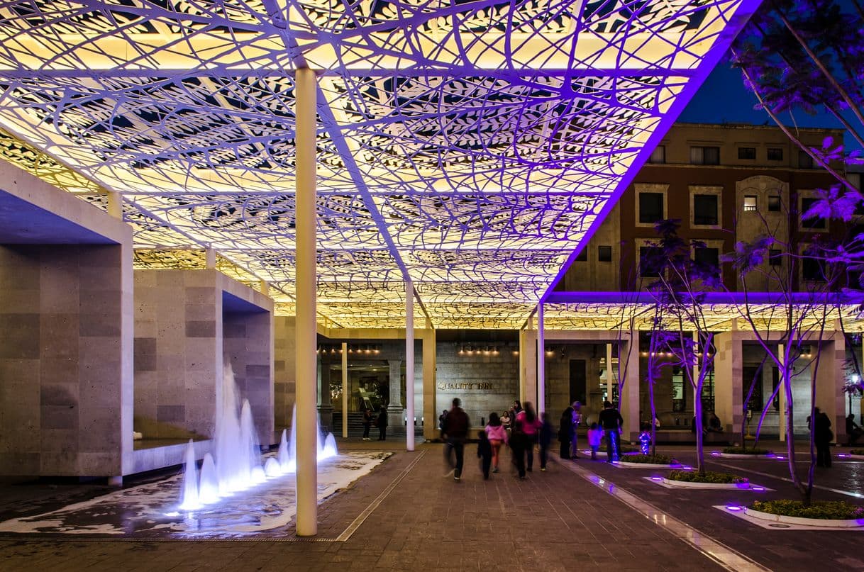 Place Jardín de las jacarandas