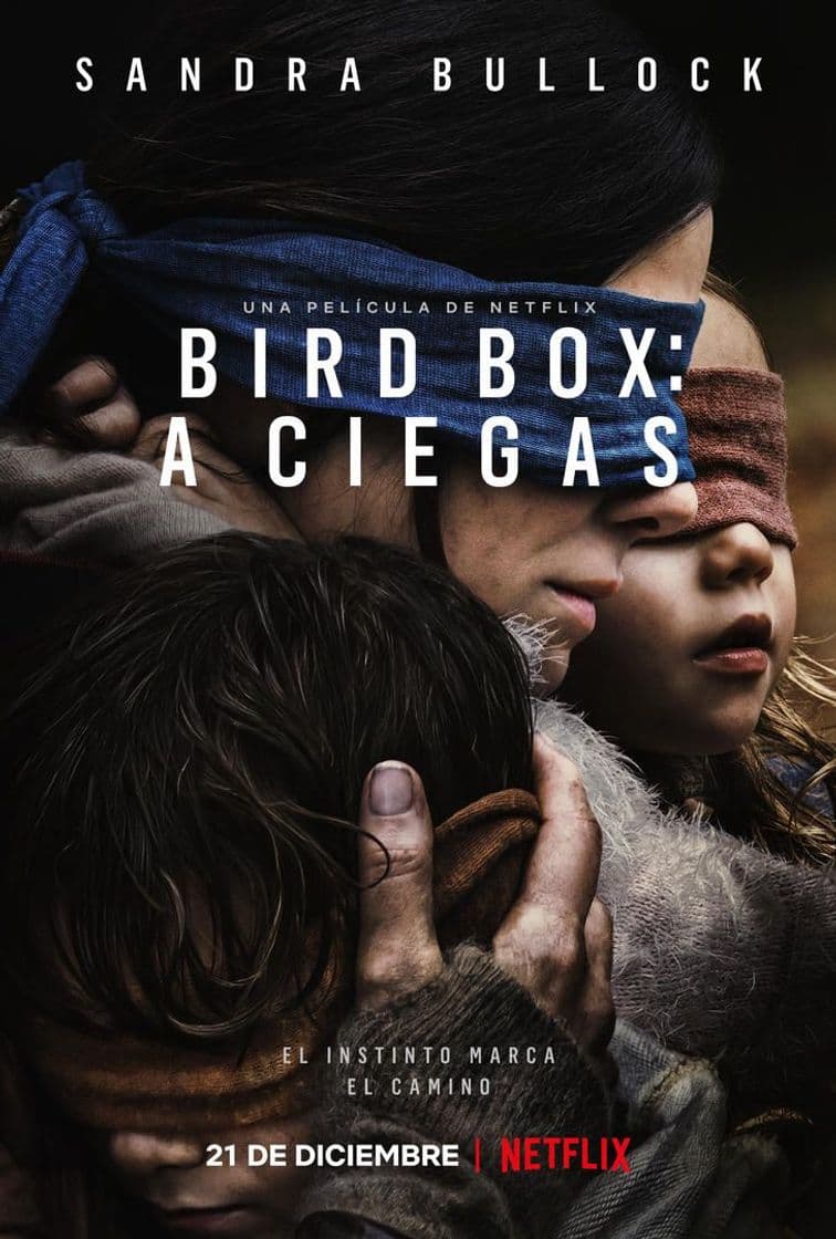 Película Bird Box