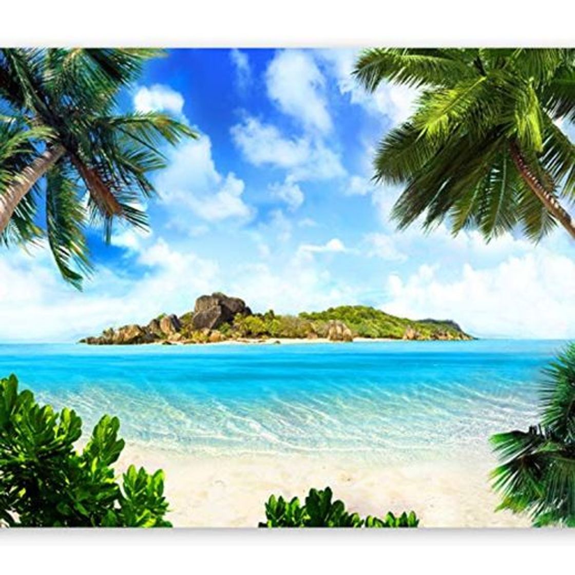 Producto murando Fotomurales Palmas 300x210 cm XXL Papel pintado tejido no tejido Decoración