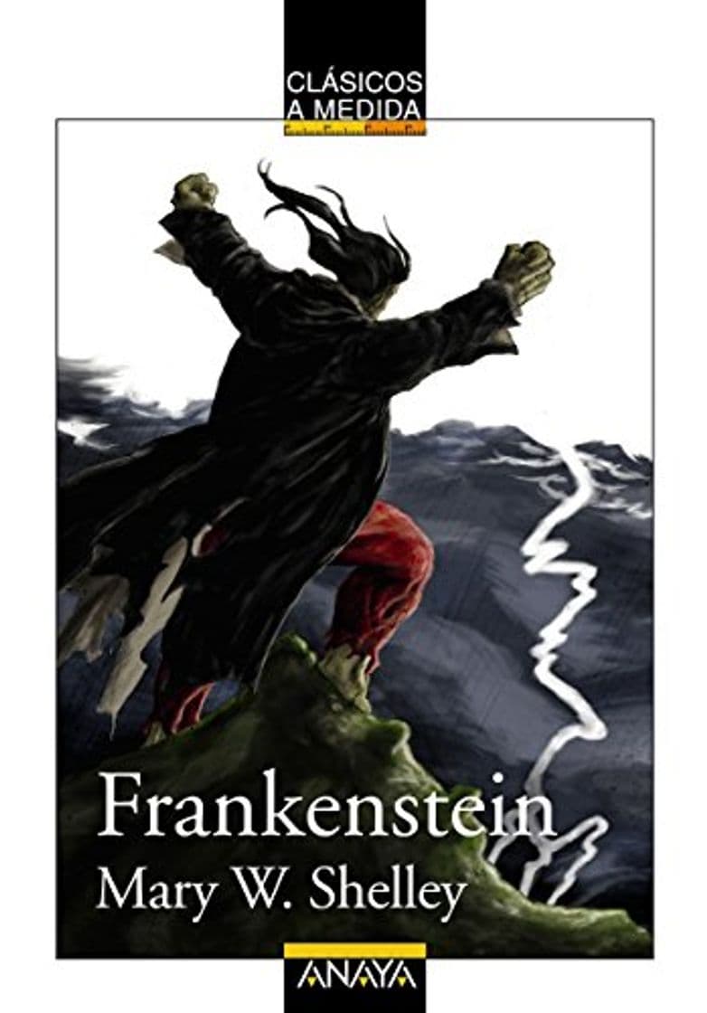 Book Frankenstein